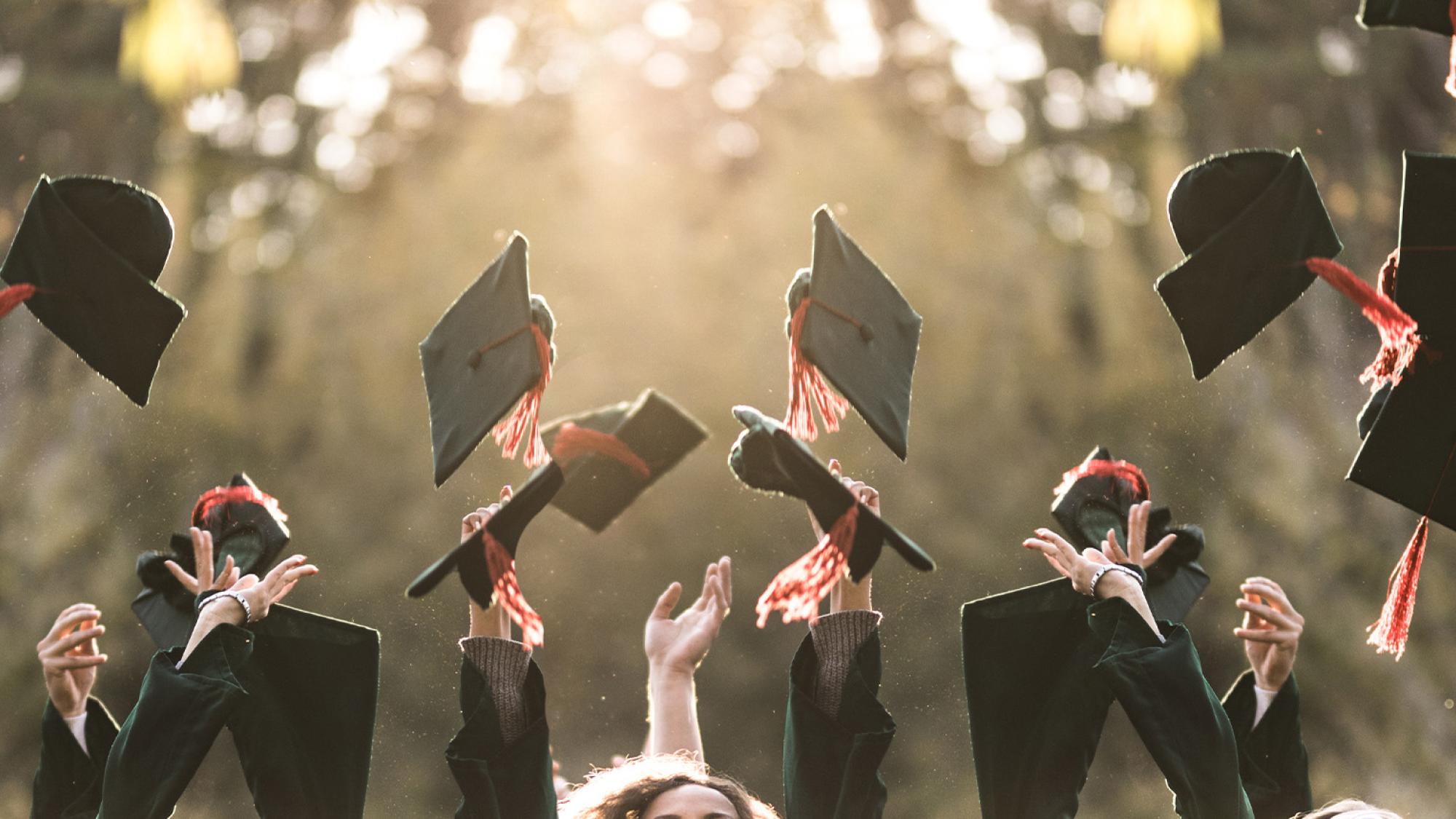 Scholarship Banner